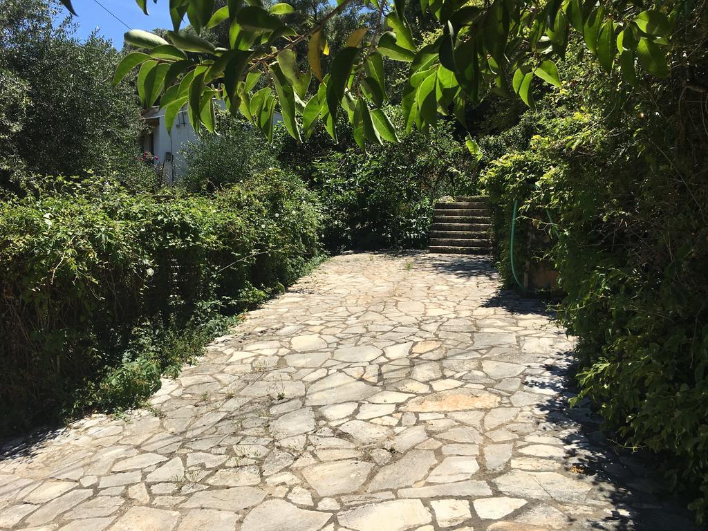 Dream View Villa Benitses  Exterior foto